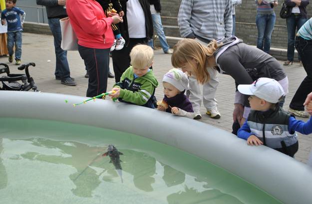 Дети ловят рыбку в бассейне